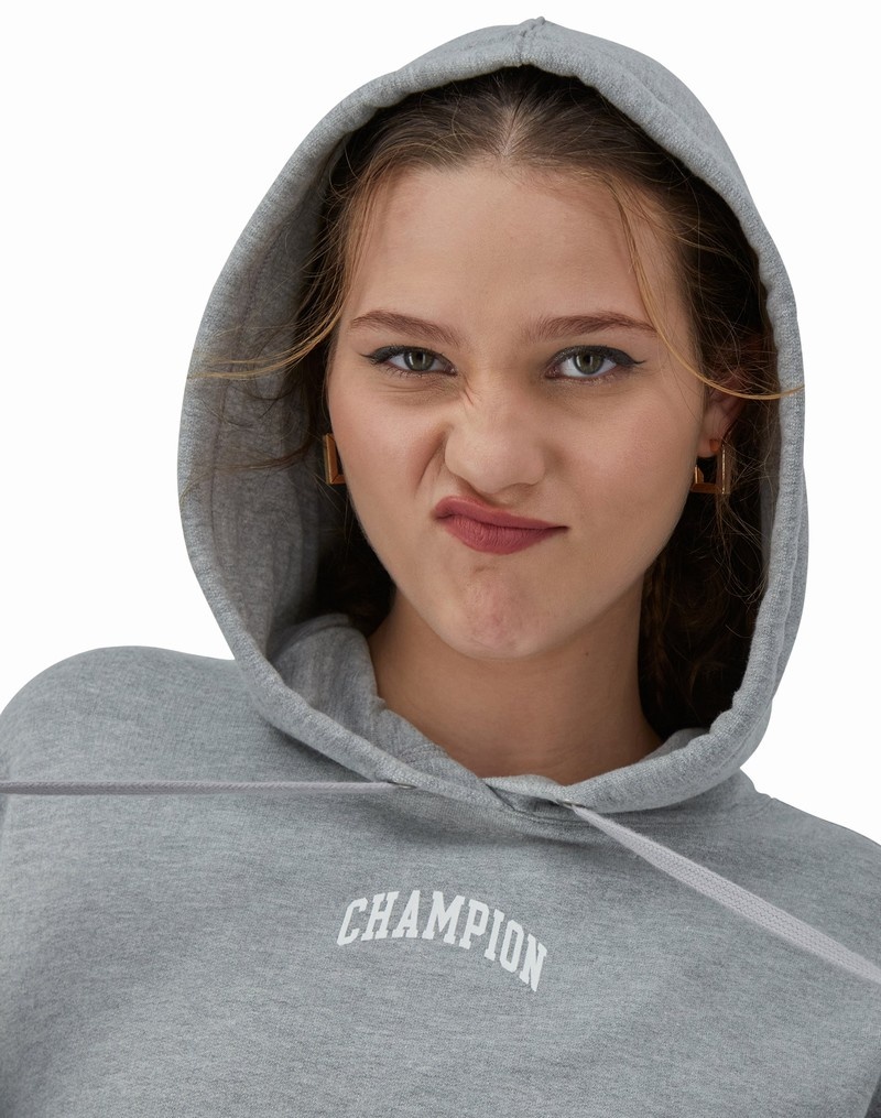 Women's Champio Powerblend Hoodie Grey | B4QO68